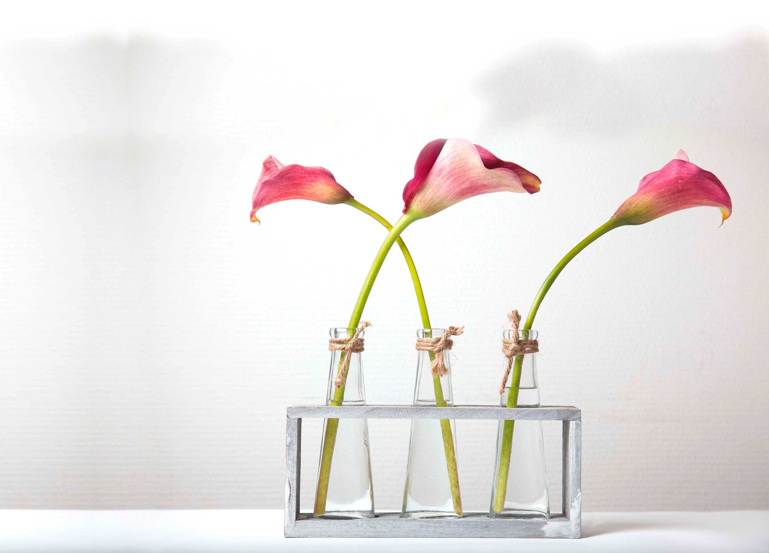 Blumen Kuhn Floraldesign aus Nürnberg - Lilien